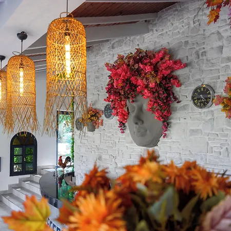 Illusion & Clubhotel - Adults Only Hotel