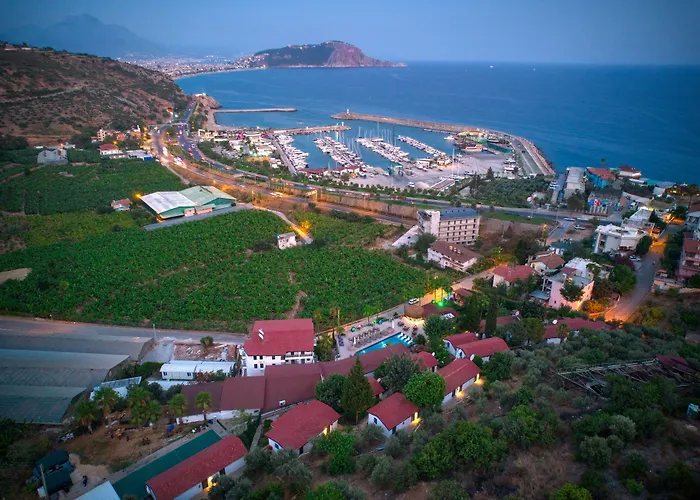 Hotel Illusion & Clubhotel - Adults Only Alanya