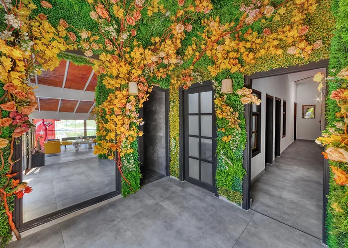 Hotel Illusion & Clubhotel - Adults Only