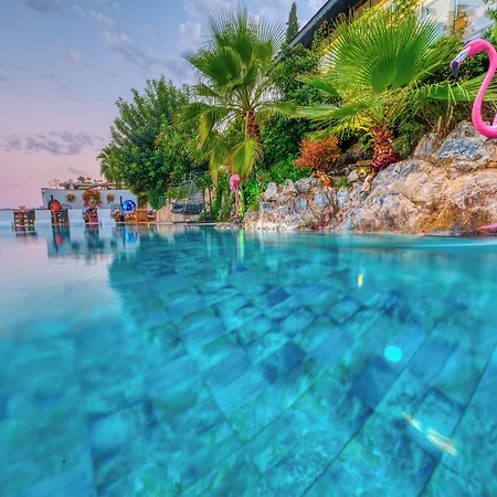 Illusion & Clubhotel - Adults Only فندق