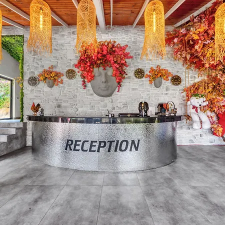 فندق Illusion & Clubhotel - Adults Only ألانيا