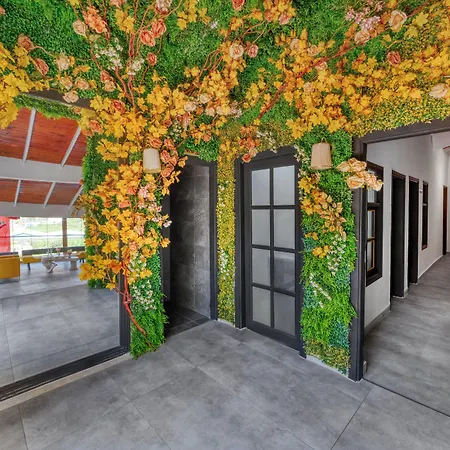 فندق Illusion & Clubhotel - Adults Only