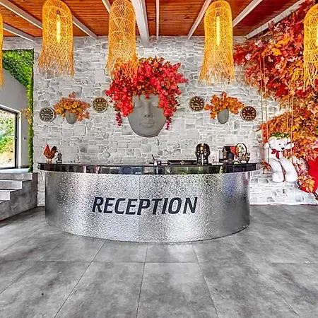 Illusion & Clubhotel - Adults Only 3* Alanya