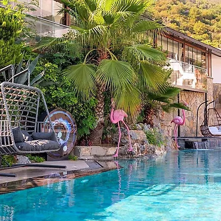 Illusion & Clubhotel - Adults Only Hotel 3*