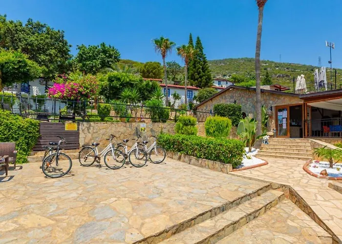 Illusion & Clubhotel - Adults Only