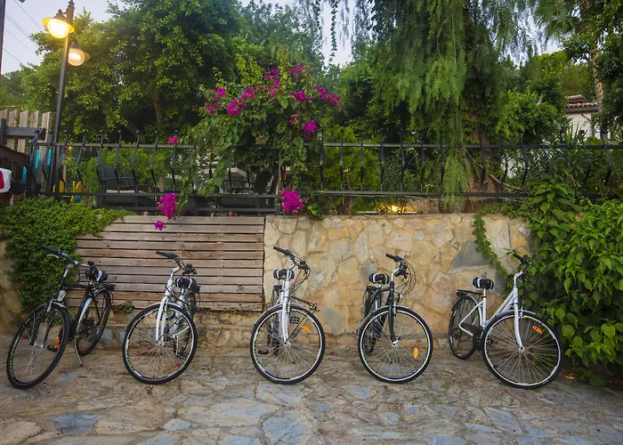 Illusion & Clubhotel - Adults Only 3* Alanya