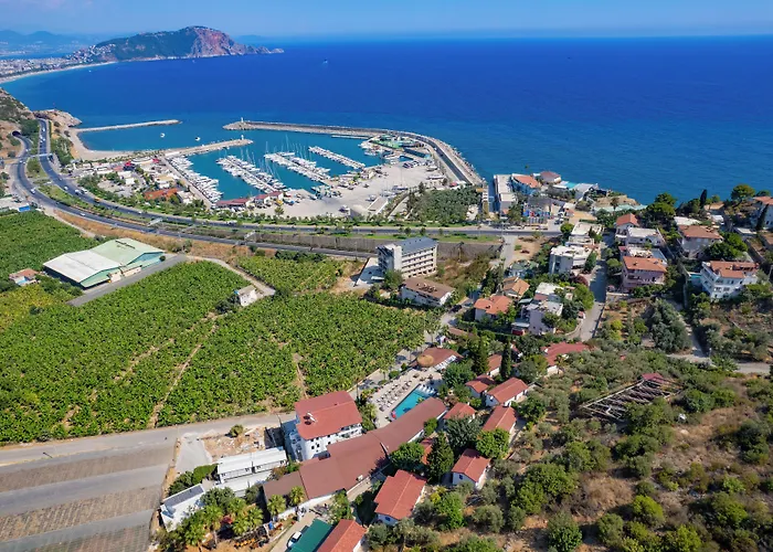 Illusion & Clubhotel - Adults Only 3* Alanya