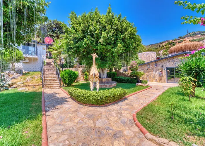 Illusion & Clubhotel - Adults Only Hotel Alanya