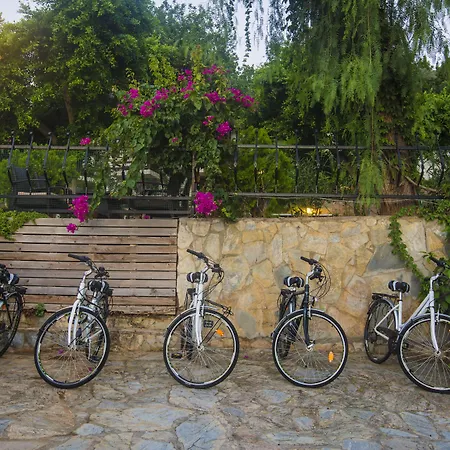 Illusion & Clubhotel - Adults Only 3* Alanya