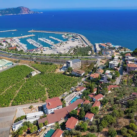 Illusion & Clubhotel - Adults Only 3* Alanya