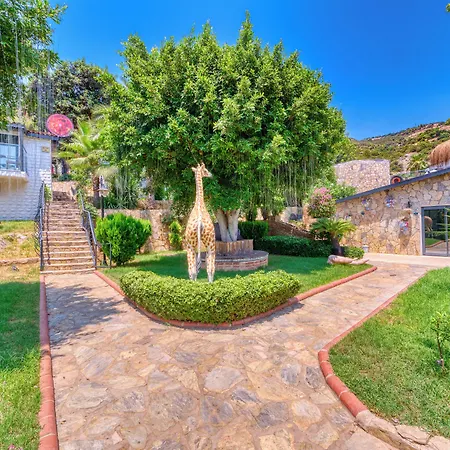 Illusion & Clubhotel - Adults Only Hotel Alanya